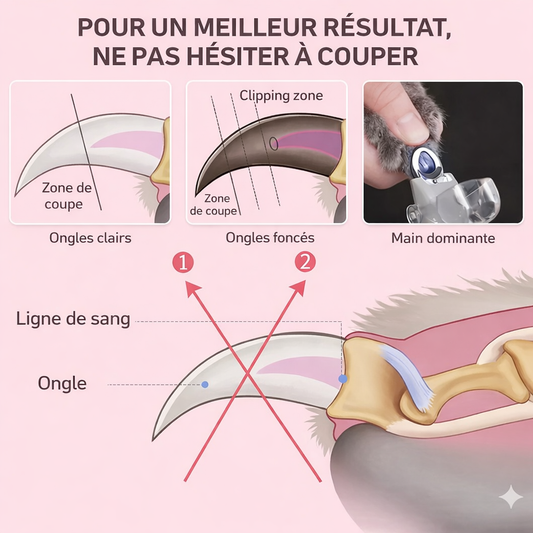 SafeTrim™ Coupe-ongles Led Pour Chien