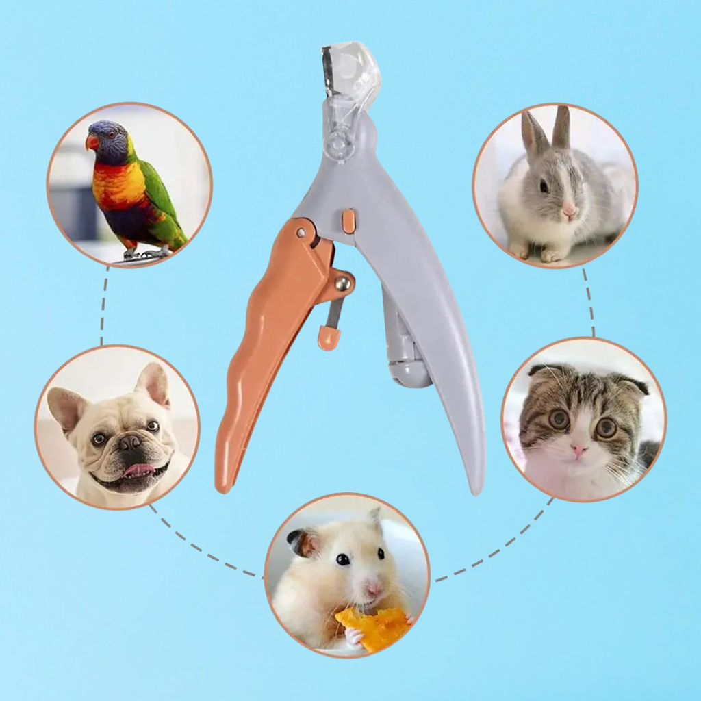 SafeTrim™ Coupe-ongles Led Pour Chien