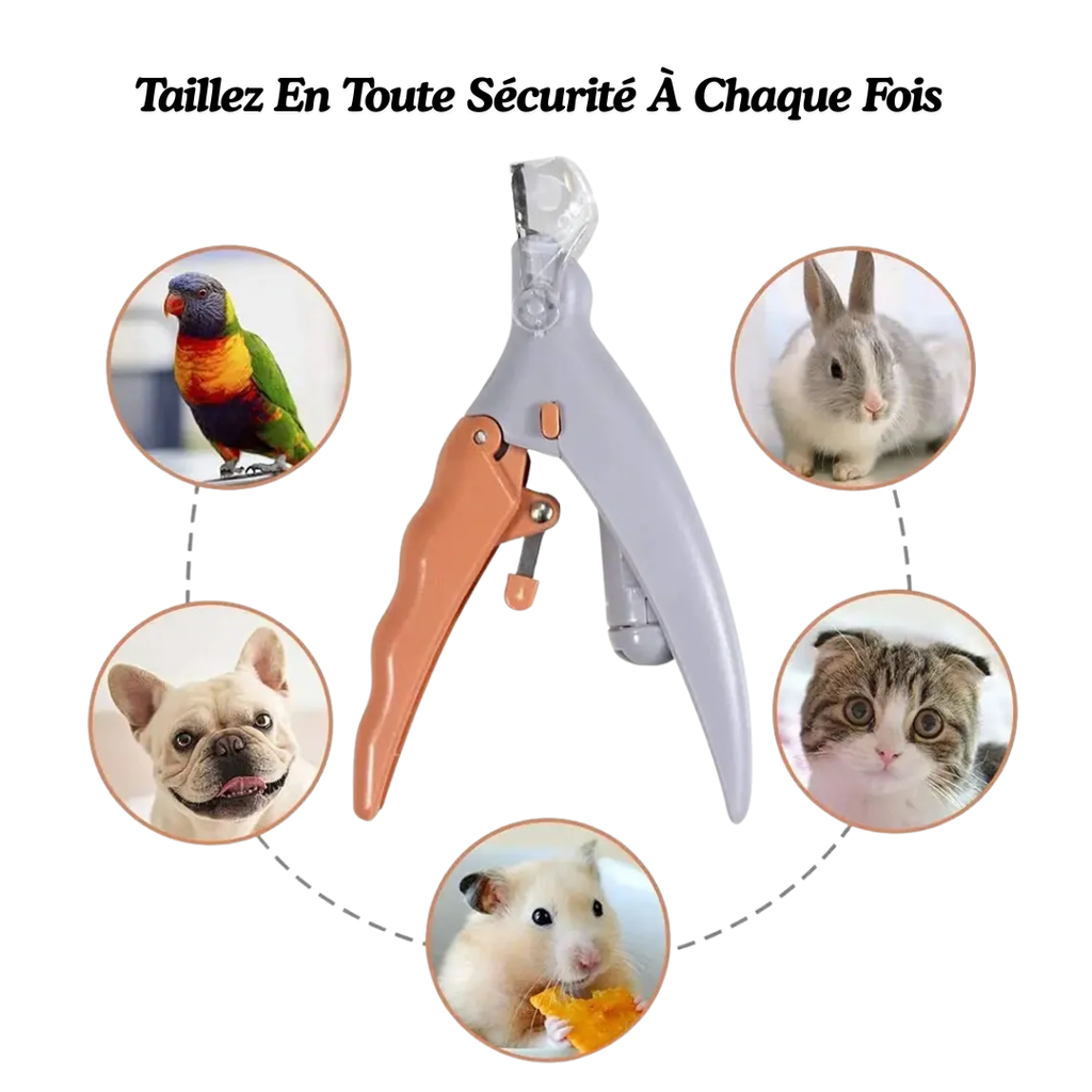 SafeTrim™ Coupe-ongles Led Pour Chien