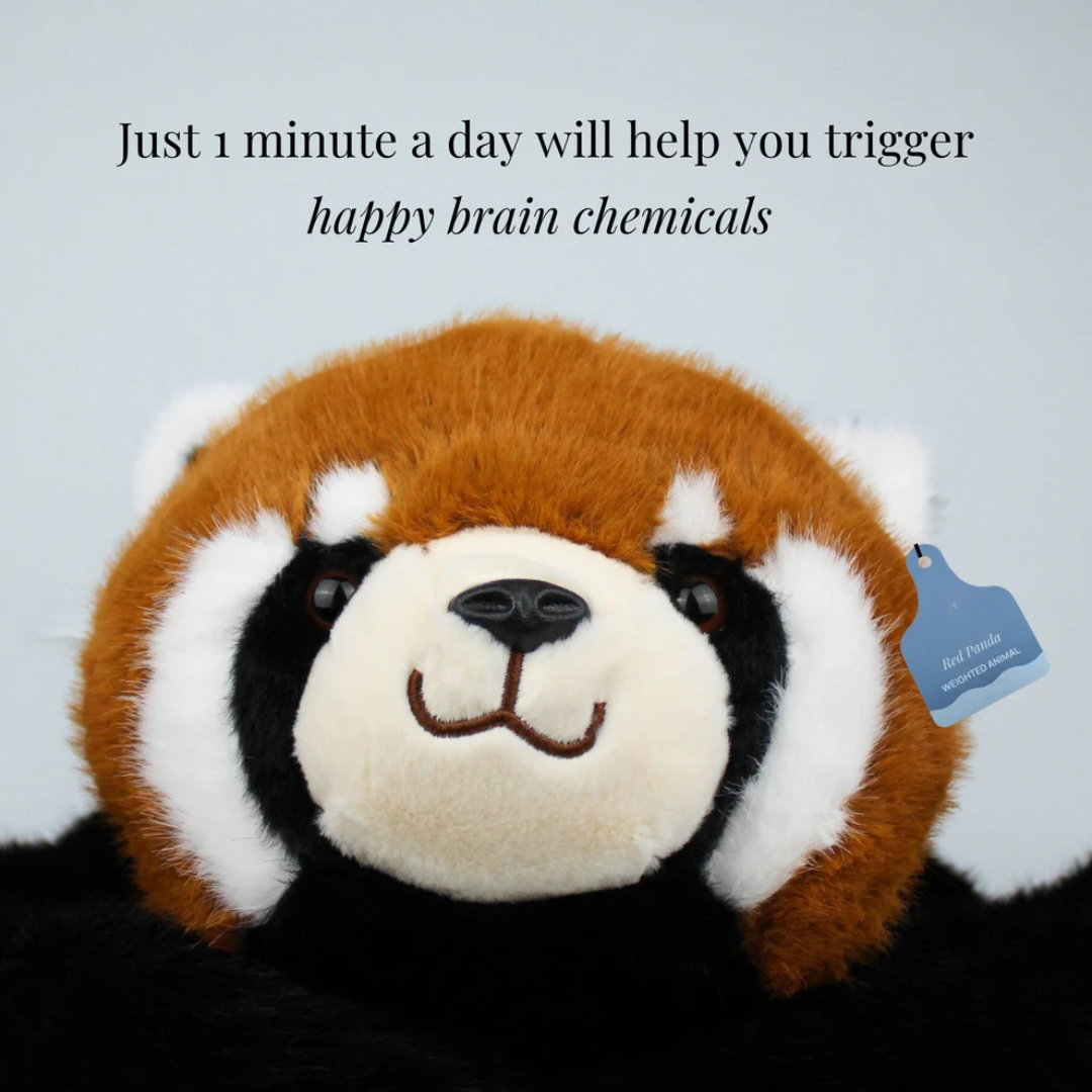 Sunnie™ Étreinte Lestée Portable Pour L’anxiété & La Concentration